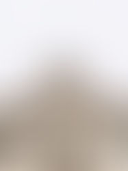 Lexington Photo Booth | Limestone Hall