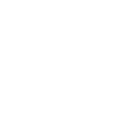 Custom Overlay Icon.png