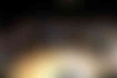 A casino party equipped with casino tables, playing a round of blackjack