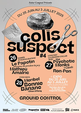 Affiche du colis suspect