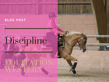Présentation d'une discipline : l'Equitation Western