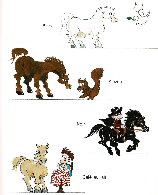 Galop 1 à 2 Blog Equitation Nord