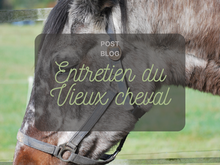 S'occuper d'un vieux cheval
