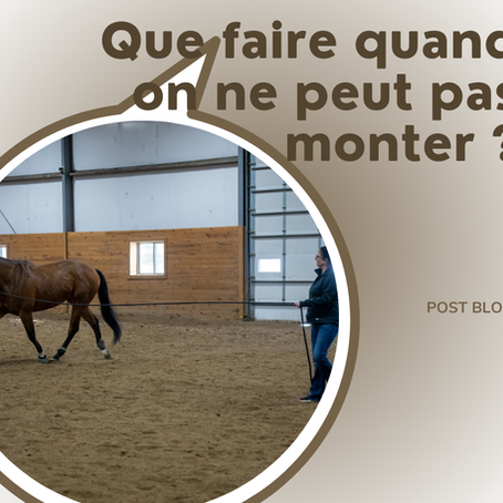 Que faire quand on ne peut pas monter à cheval ?