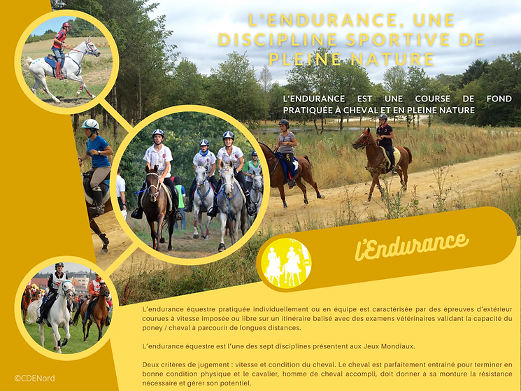 affiche discipline endurance.png