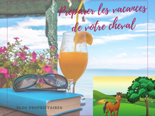 Préparer les vacances ✈