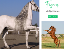 Les figures de spectacle