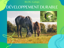 Développement Durable