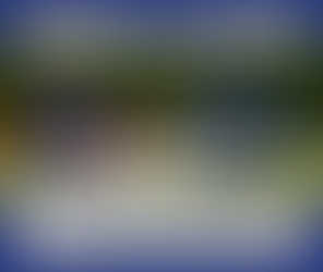 POST BLOG du mois de février 2026