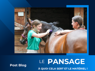 POST BLOG du mois de septembre 2025