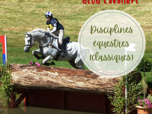 Les Disciplines Equestres (1ère partie)