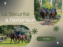 Les règles de sécurité en extérieur avec son cheval🚦