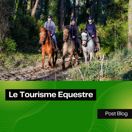 Le Tourisme Equestre