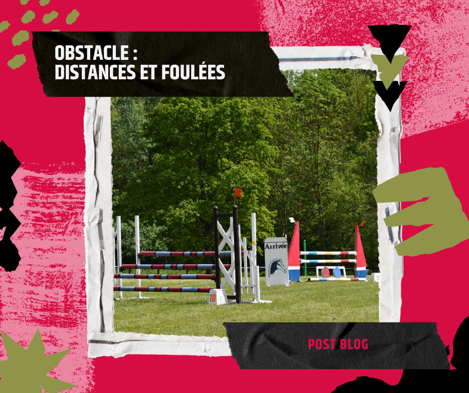CSO : Les Fondamentaux du Saut d'Obstacles Décryptés CSO : Les Fondamentaux du Saut d'Obstacles Décryptés