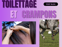 Compétitions : Le toilettage et les crampons 