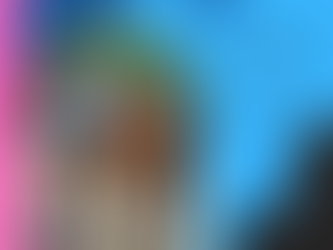 Travailler l'arrêt et apprendre le montoir