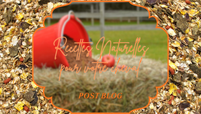 Les Recettes Naturelles et le Mash🌽