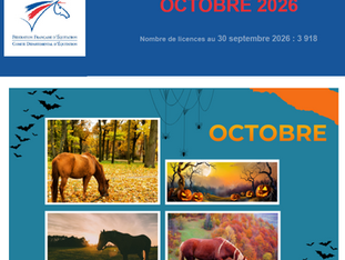 Newsletter mensuelle