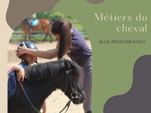 Les Métiers du Cheval