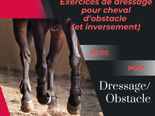 POST BLOG du mois de Juillet 2025