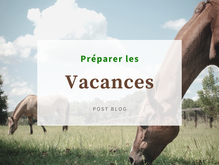 Préparer les vacances ✈