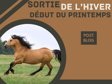 Début du printemps et préparer la mise au pré