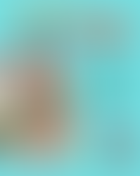 Stages enseignants 2025/2026