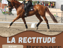 Rectitude et cheval droit
