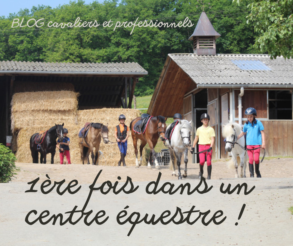 1ère fois dans un club : comment se passe une reprise, comment choisir un centre équestre...