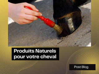 Les Produits Naturels (DIY : fais soi-même) et le recyclage des textiles ♻