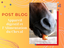 L'Appareil Digestif, la Digestion et l'Alimentation