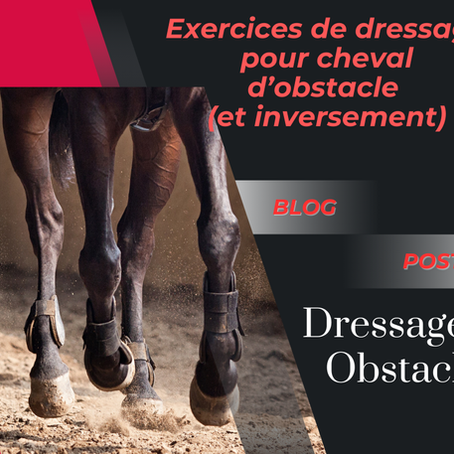 Travail sur le plat pour les chevaux d'obstacles et vice versa !