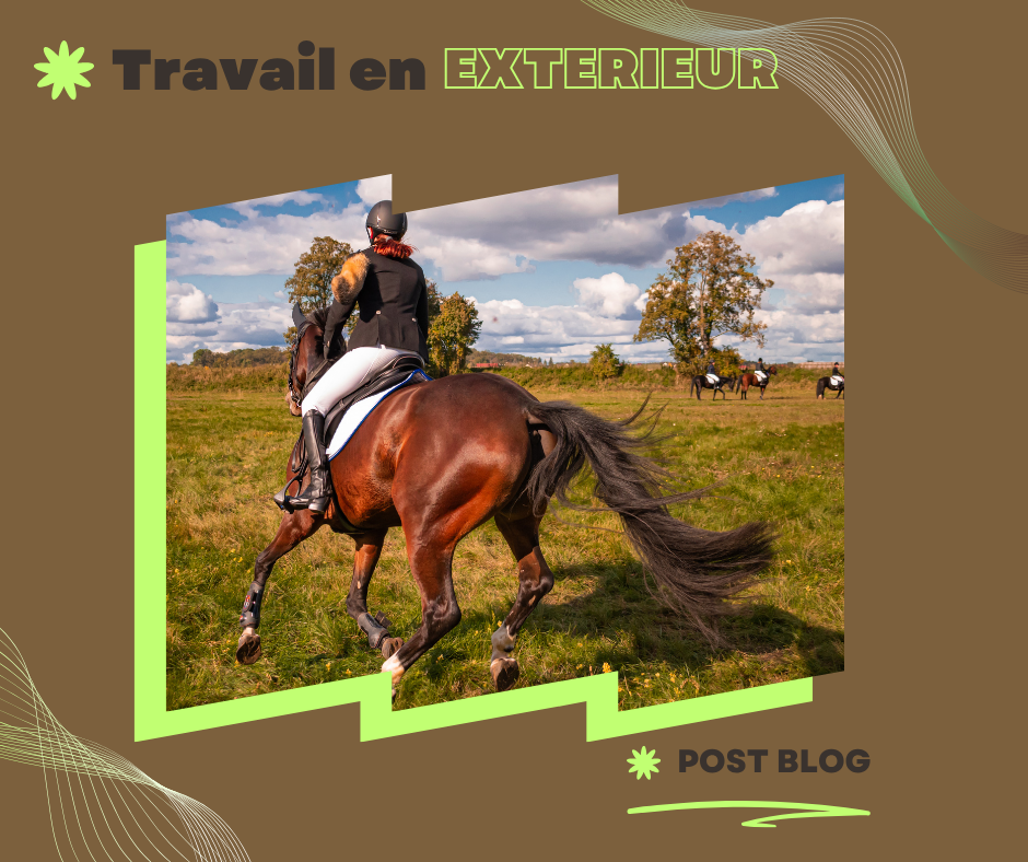 Travailler son cheval en extérieur🌳