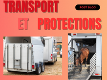 Le transport du cheval et les protections des membres