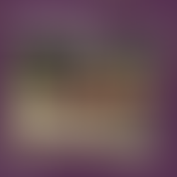 1 jeu et 1 activité : Les Adultes