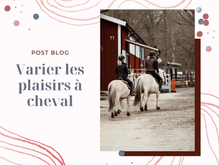 Varier les plaisirs à cheval même en hiver