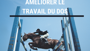 Améliorer le travail du dos