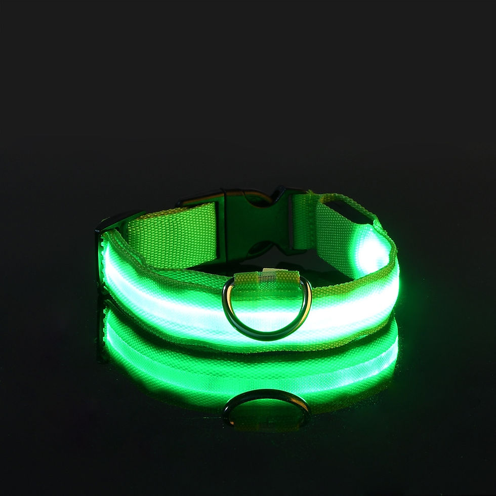 Thumbnail: Nylon LED Night Safety Flashing Glow In The Dark Dog Leash Dogs Luminous Fluores