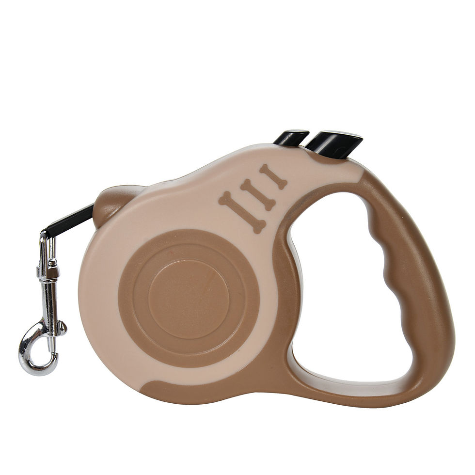 Thumbnail: 1pc/3pcs 3m 5m Dog Leash for Small Dogs Cat Automatic Retractable Nylon Lead Pup