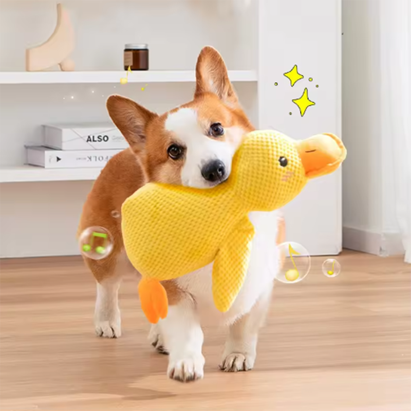 Thumbnail: Dog sleeping with a dog hug duck toys to relieve boredom of little yellow duck p