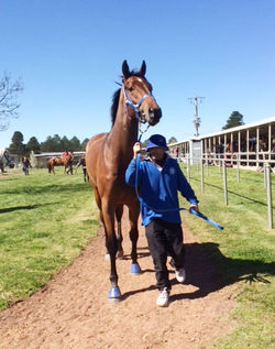 Valant Spirit first win 