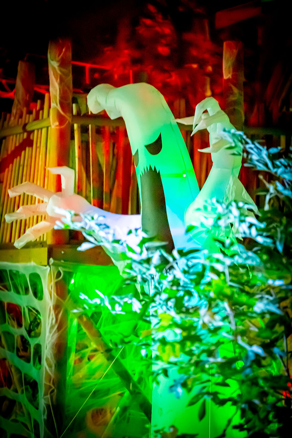 2022TrickOrTreatLR-67