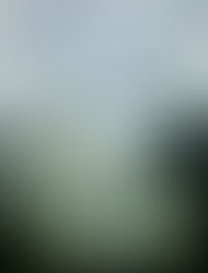 First Congregational of Interlachen.