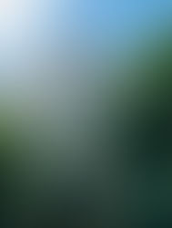 St. Luke’s Cathedral, Orlando