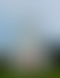 Presbyterian Church of Upsala