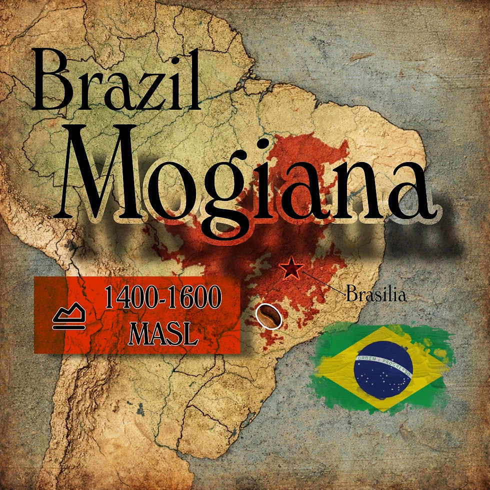 Map of Brazil highlighting the Mogiana coffee region