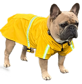 Tank in Raincoat