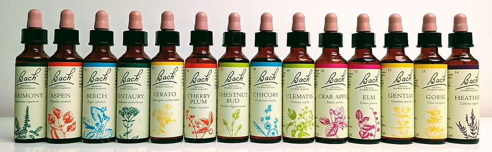 A lineup of 14 Bach flower remedy bottles with colorful floral labels on a white surface. Text includes names like Aspen and Clematis.