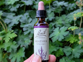 A hand holds a Bach Original Flower Remedies Heather dropper bottle against a lush, green leafy background. The label features purple flowers.
