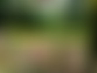 「プレパ園芸部会」発足!?